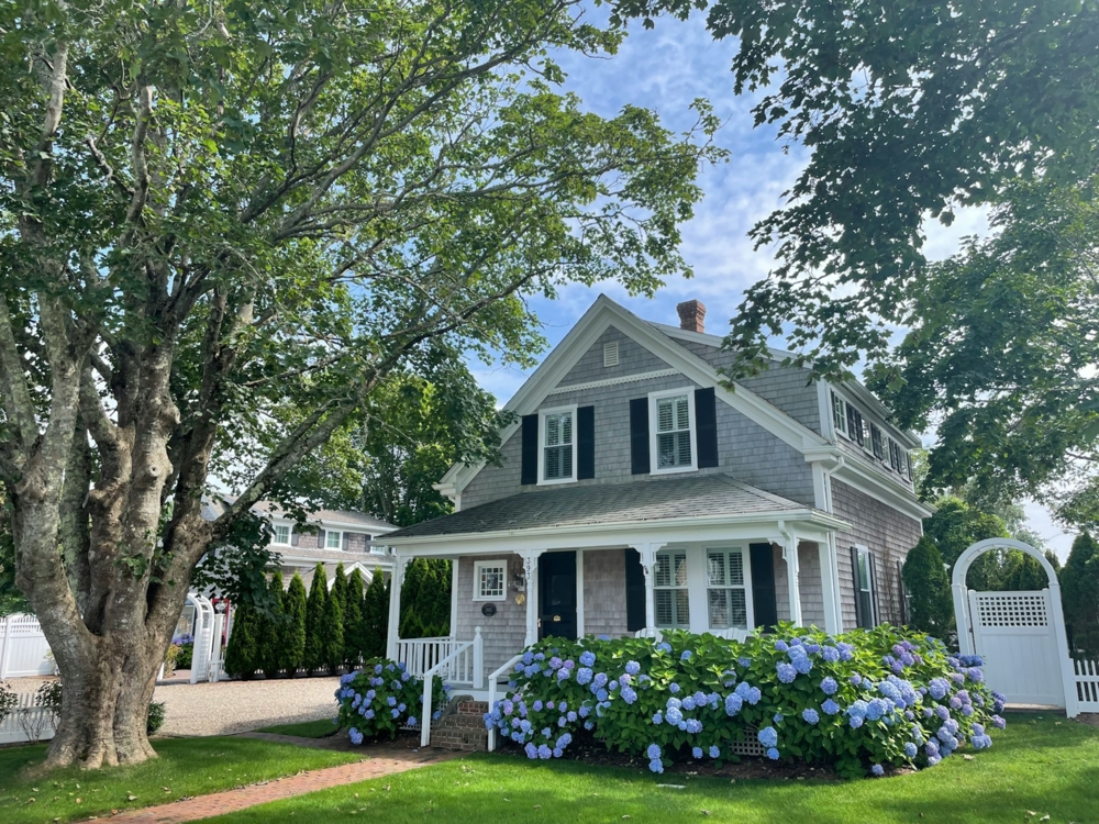 white and gray house with blooming flowers