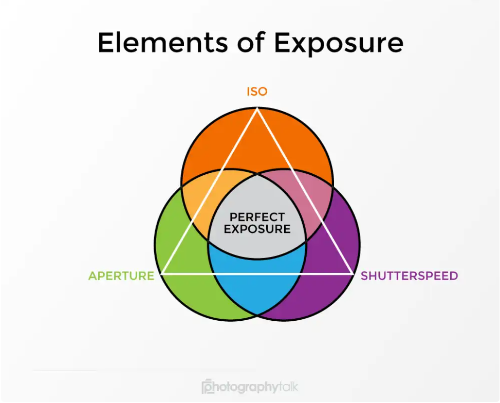 Elements of Exposure Graphic